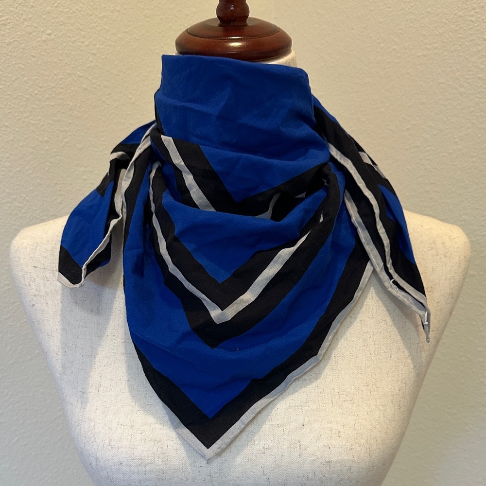 Banana Republic Blue and Black Striped Scarf